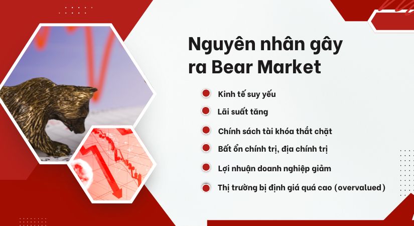 bear-market-1