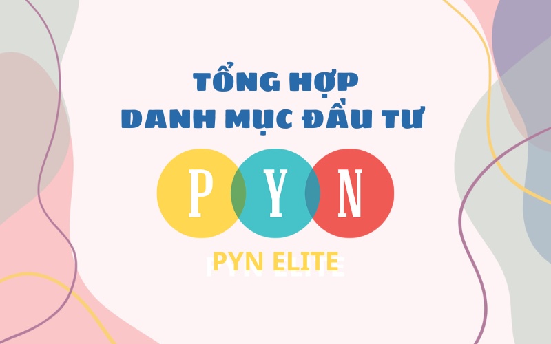 Tổng hợp danh mục đầu tư của quỹ Pyn Elite Fund