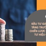 đồ hoạ miêu tả theme bài viết về đầu tư giá trị tăng trưởng