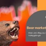 bear-market-la-gi