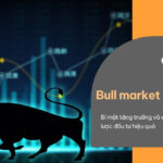 bull-market-la-gi