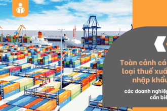 Toàn cảnh những loại thuế liên quan đến xuất nhập khẩu doanh nghiệp cần biết