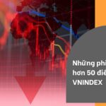 nhung-phien-giam-hon-50-diem-cua-vnindex